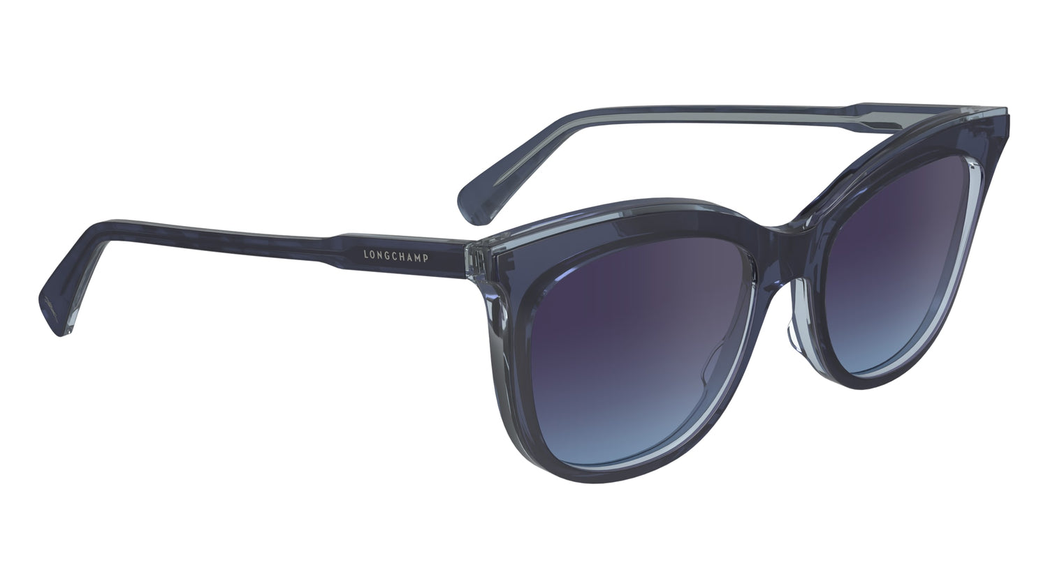 LONGCHAMP LO738S 405 53