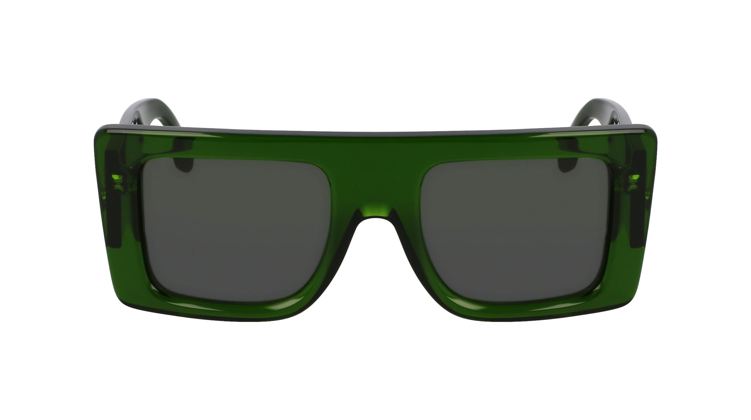 VICTORIA BECKHAM VB677S 302 51