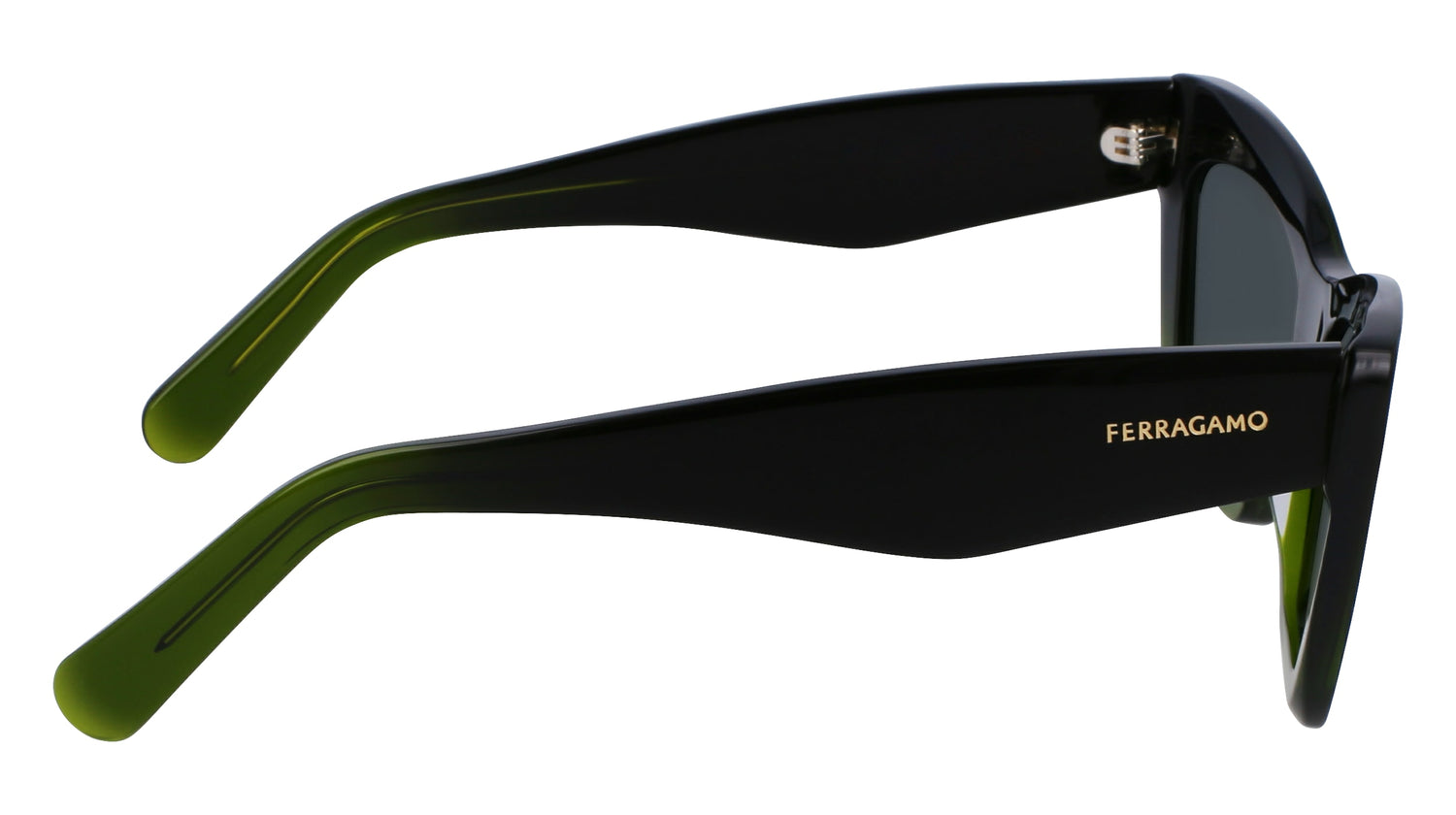 FERRAGAMO SF929SN 316 55