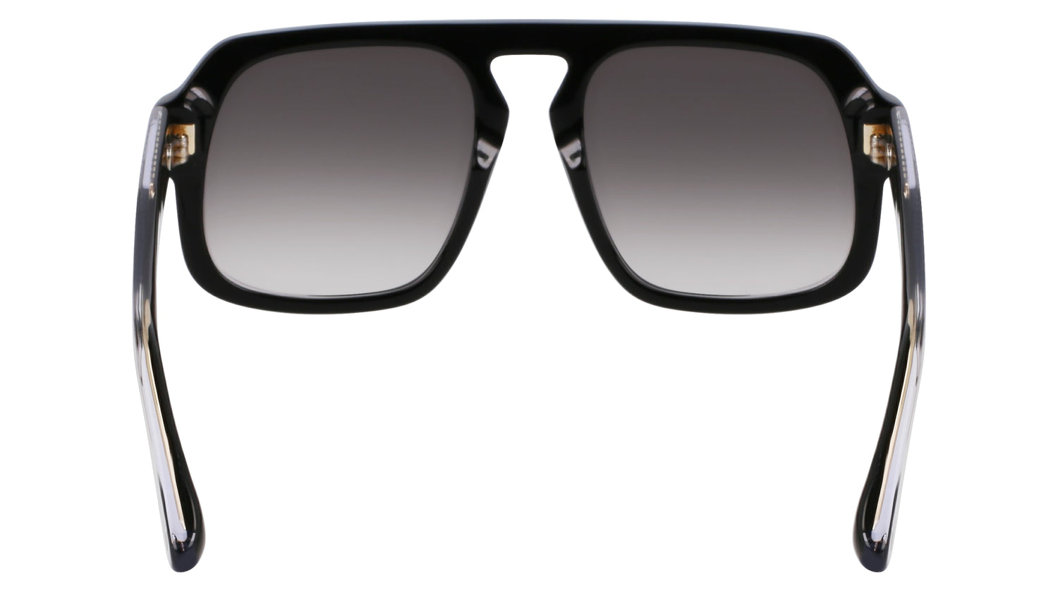 VICTORIA BECKHAM VB674S 001 53