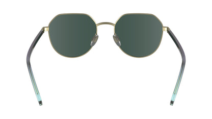 CALVIN KLEIN CK23125S 720 51