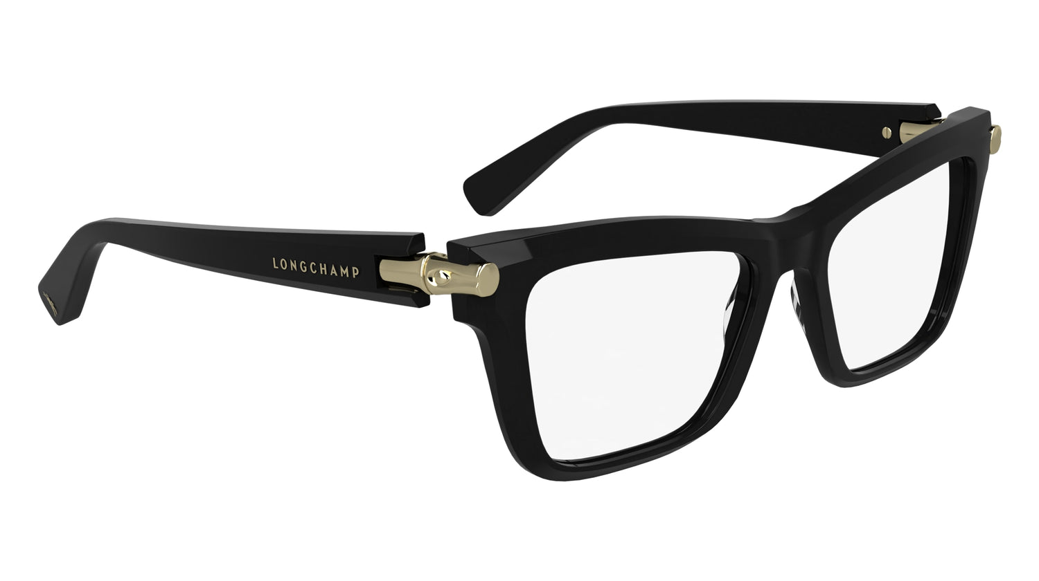 LONGCHAMP LO2766 001 53