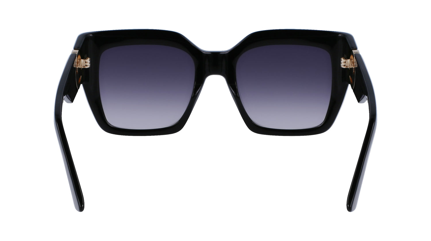 LONGCHAMP LO734S 001 53