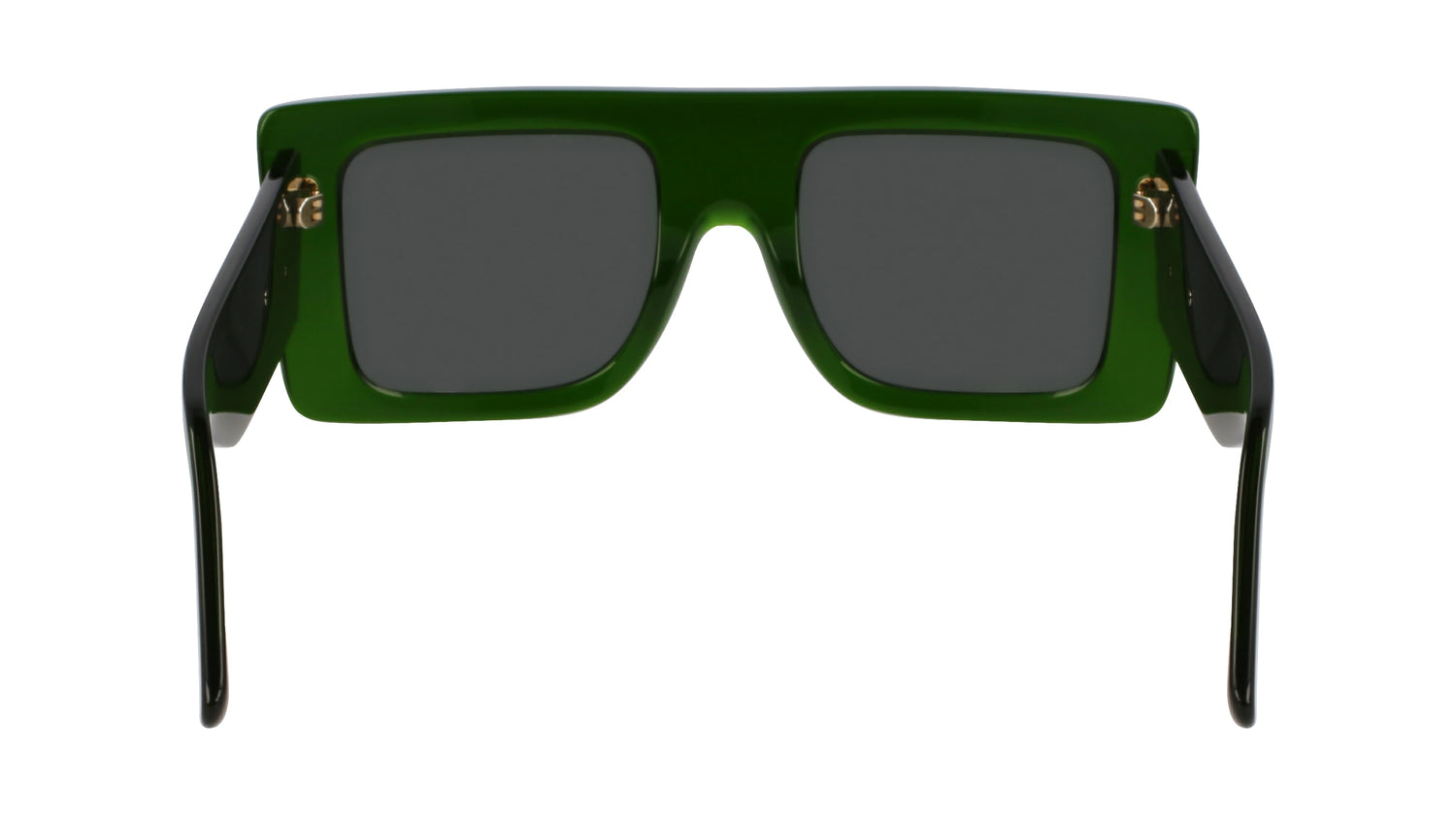 VICTORIA BECKHAM VB677S 302 51