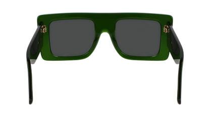 VICTORIA BECKHAM VB677S 302 51