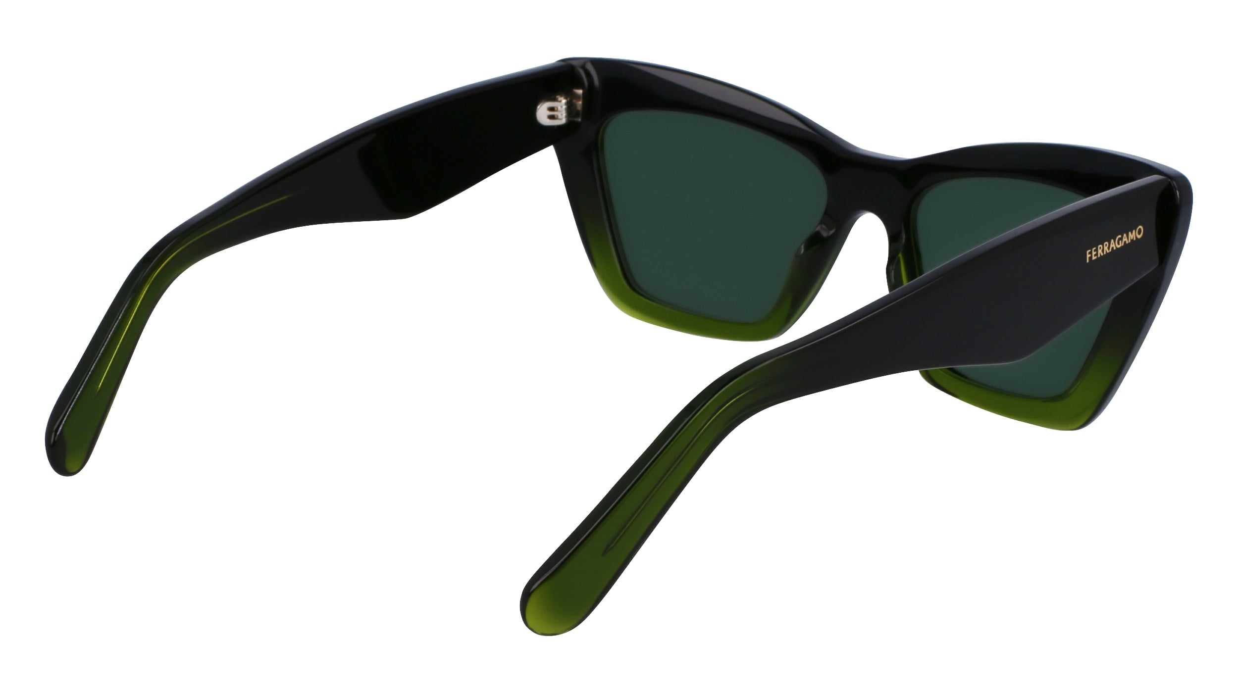 FERRAGAMO SF929SN 316 55