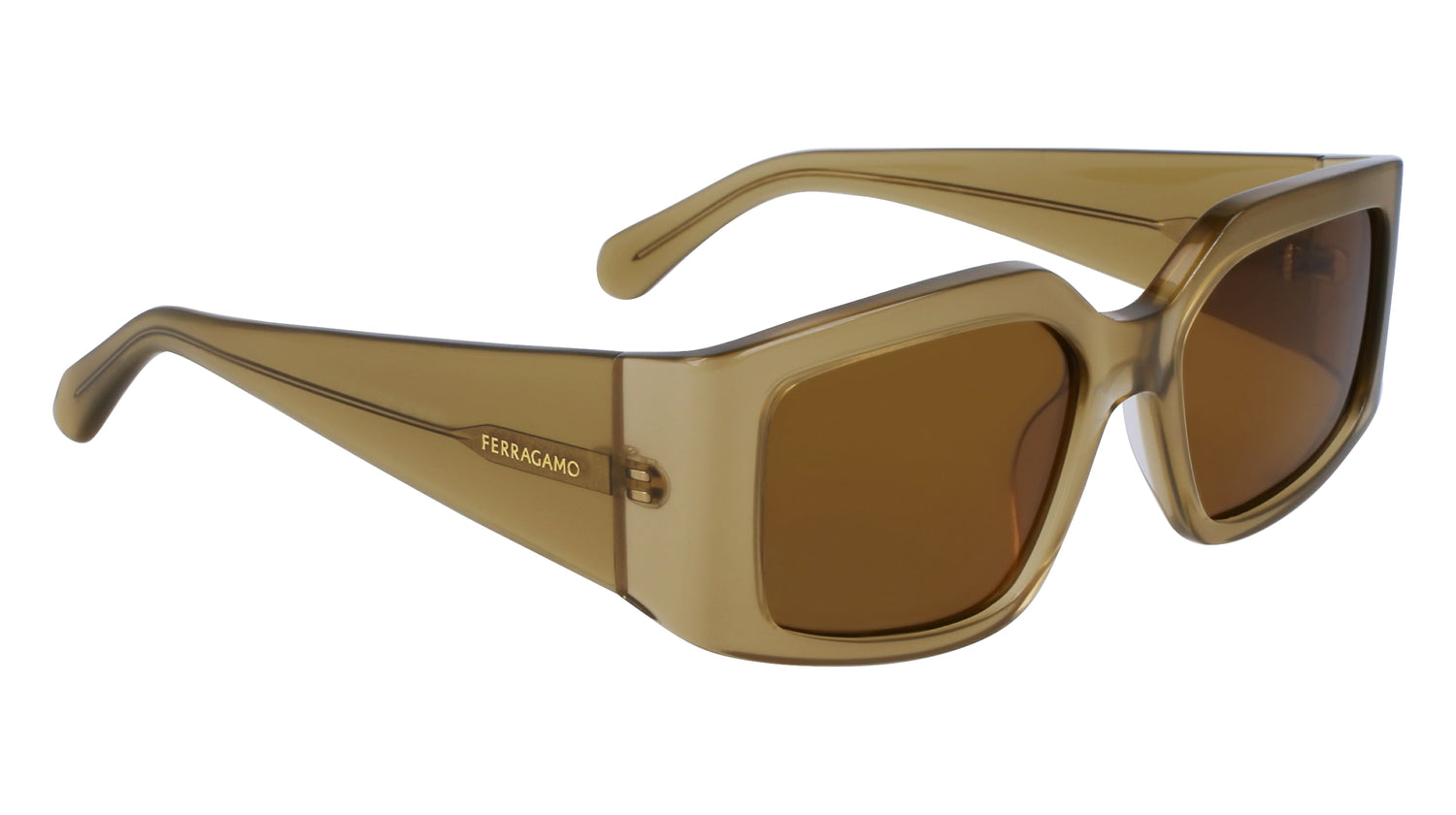 FERRAGAMO SF1101S 330 54