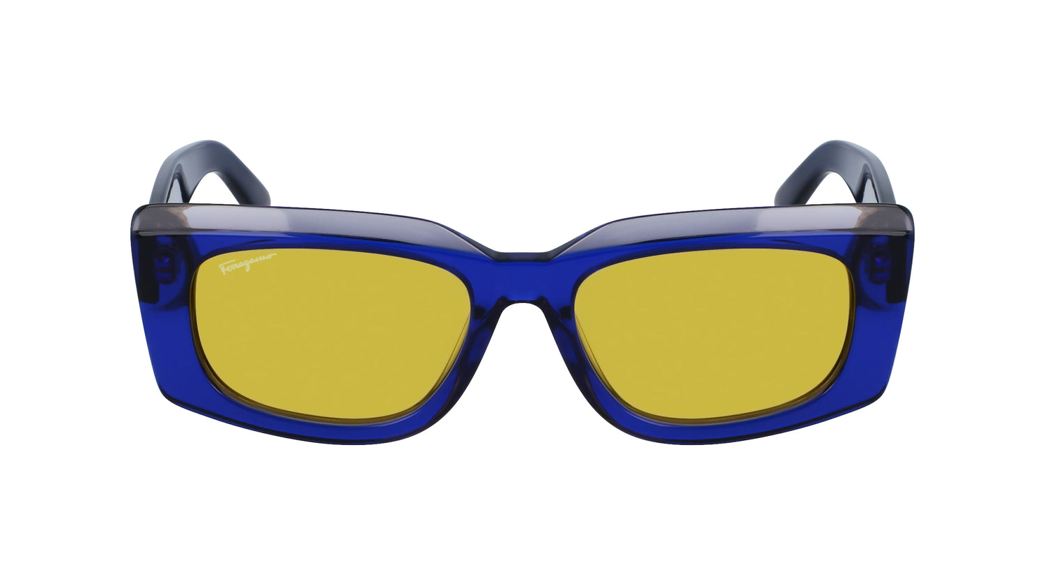 FERRAGAMO SF1079S 435 54