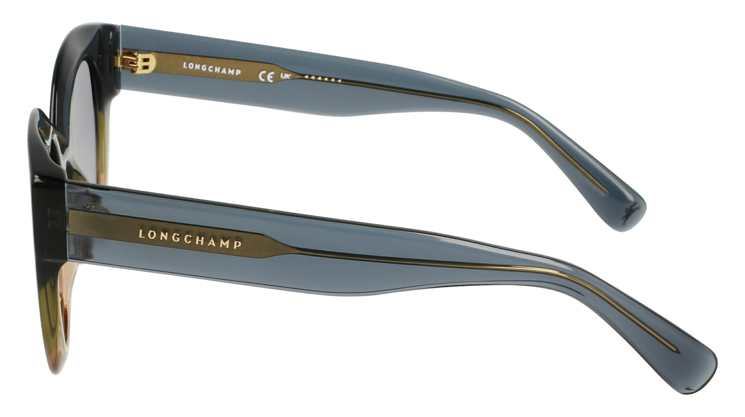 LONGCHAMP LO750S 434 49