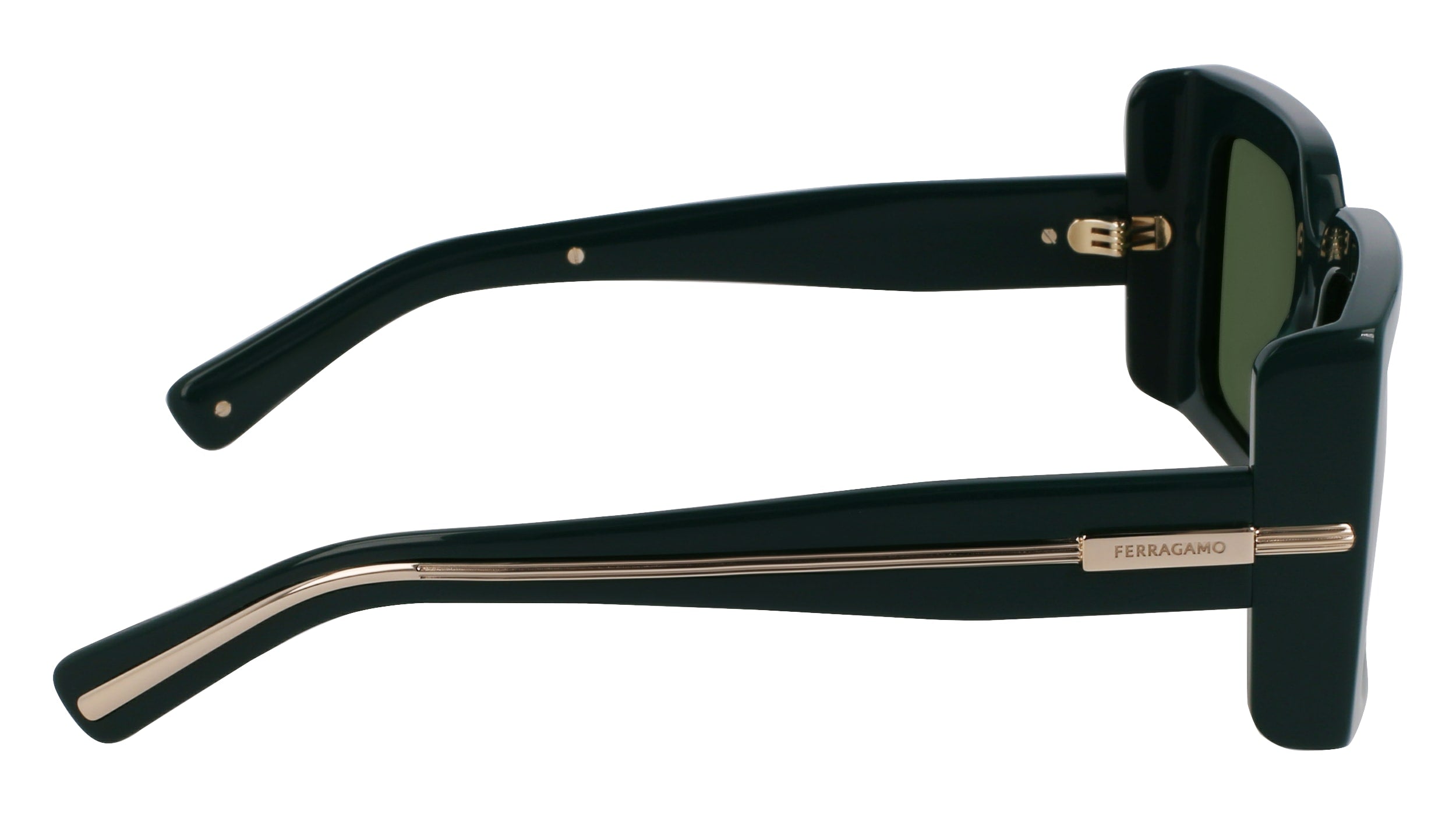 FERRAGAMO SF2032S 302 55