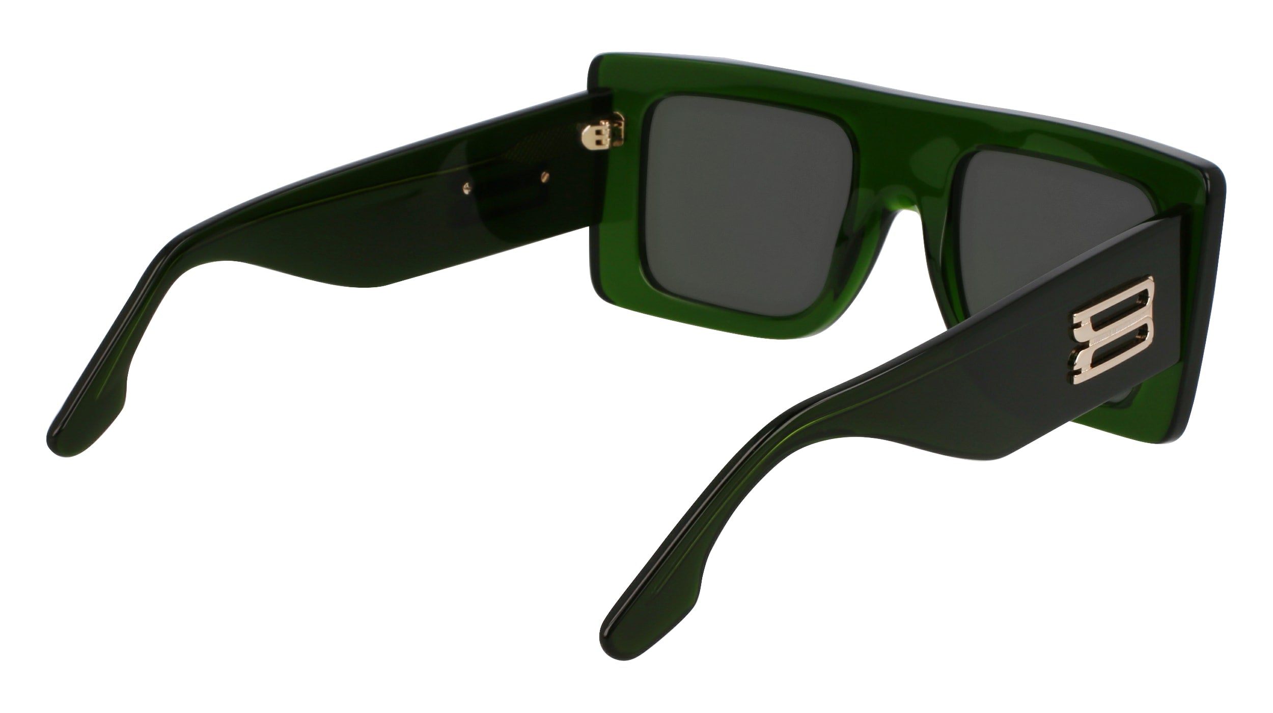 VICTORIA BECKHAM VB677S 302 51