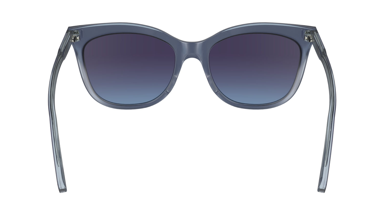 LONGCHAMP LO738S 405 53