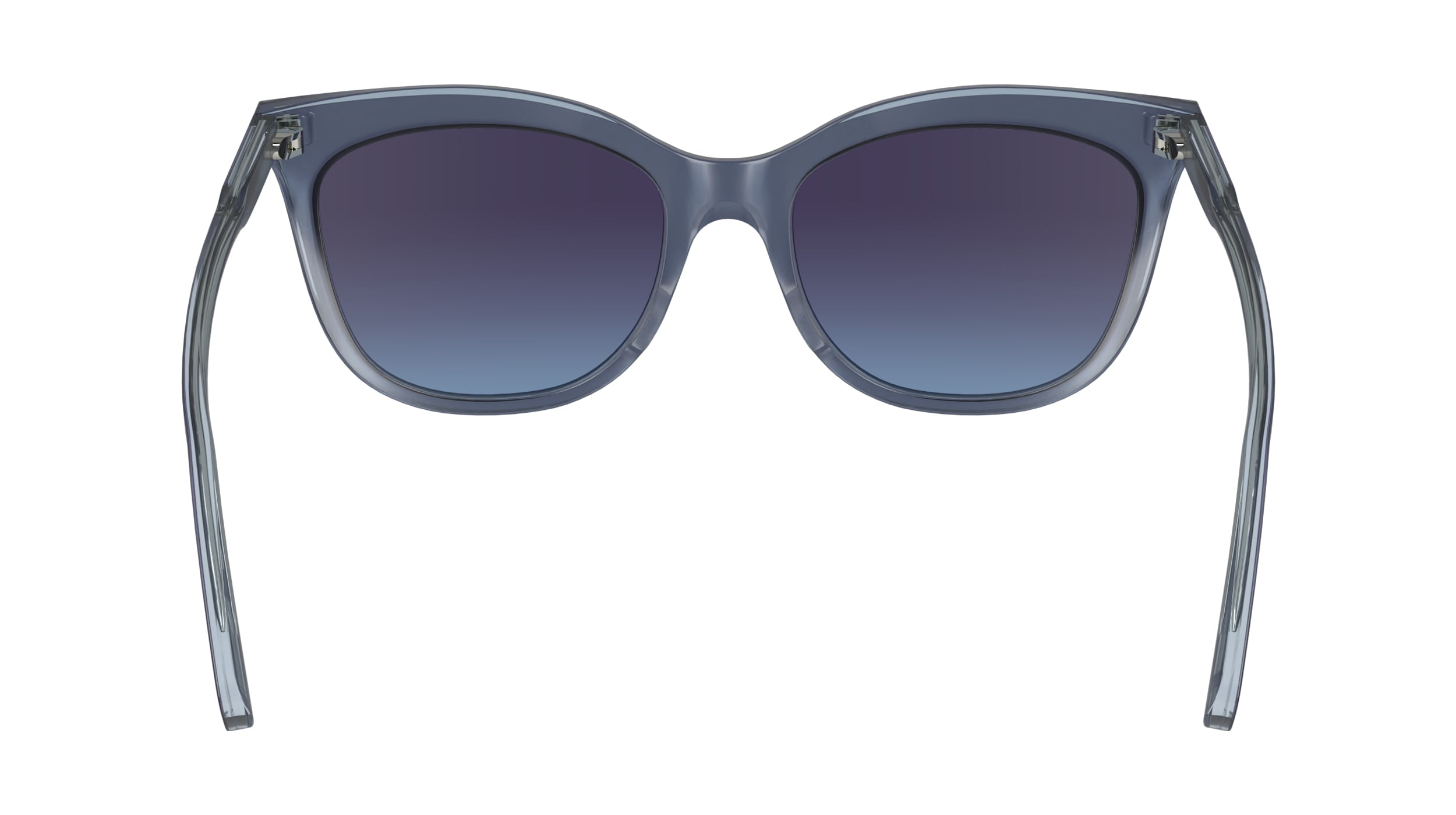 LONGCHAMP LO738S 405 53