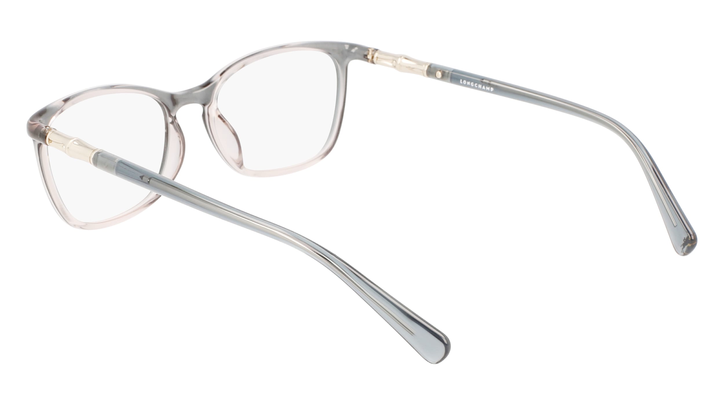 LONGCHAMP LO2695 425 53