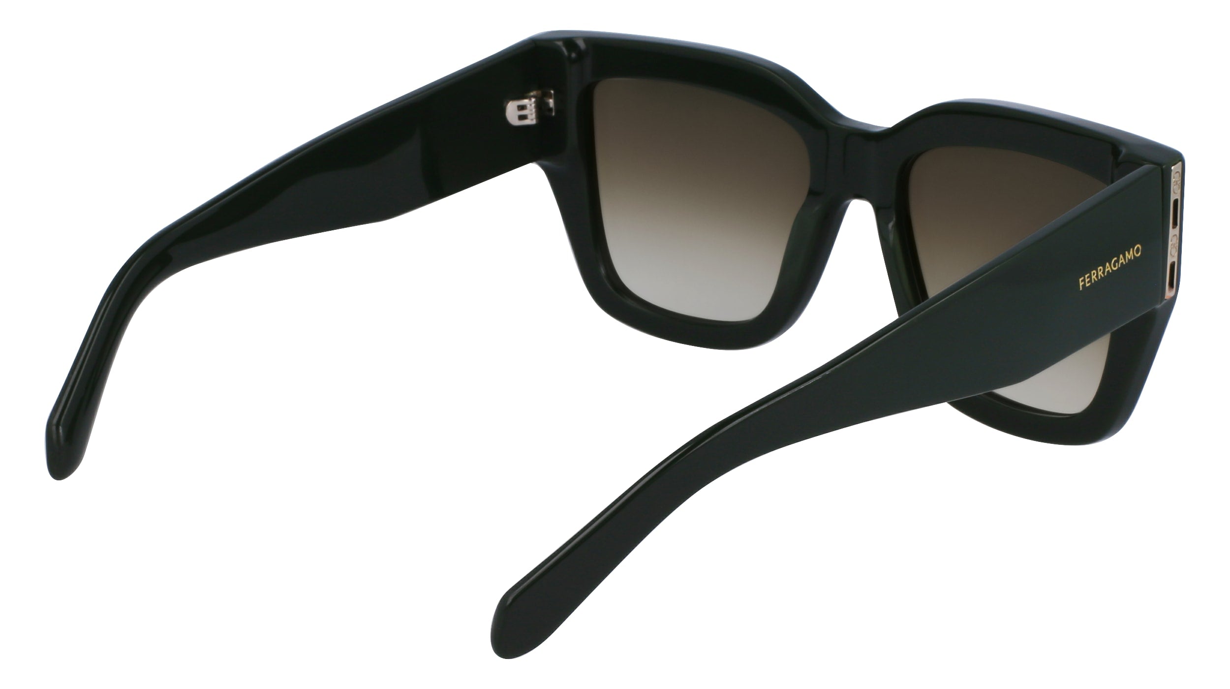 FERRAGAMO SF1104S 302 55