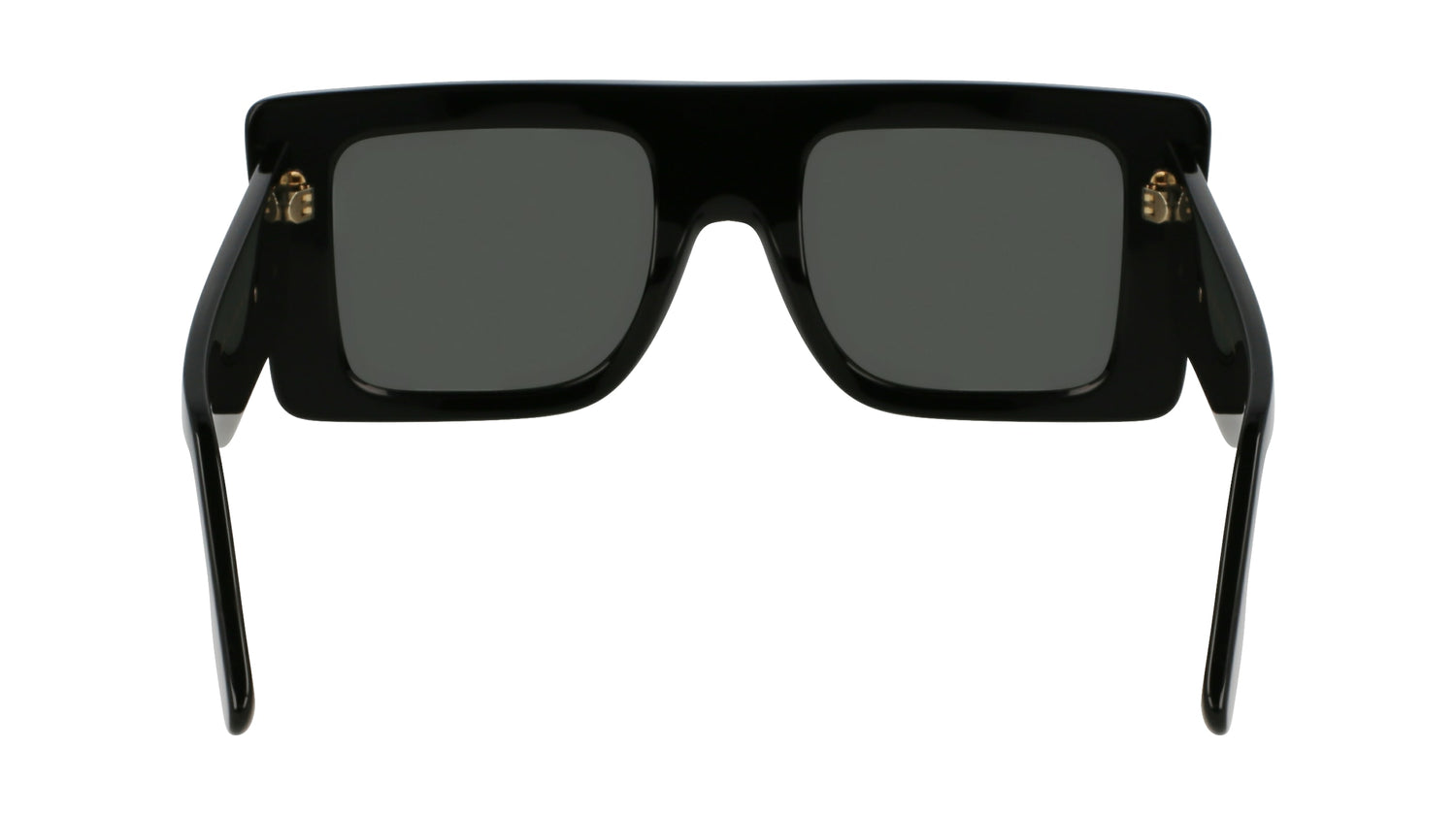 VICTORIA BECKHAM VB677S 001 51