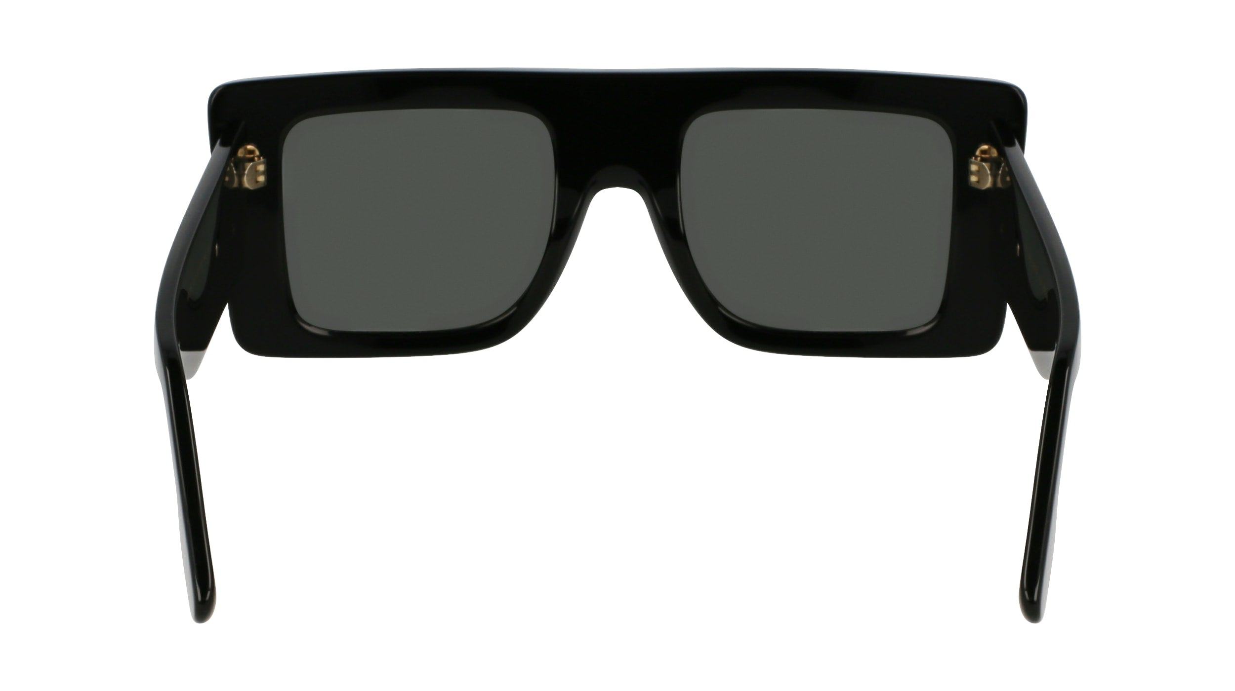 VICTORIA BECKHAM VB677S 001 51