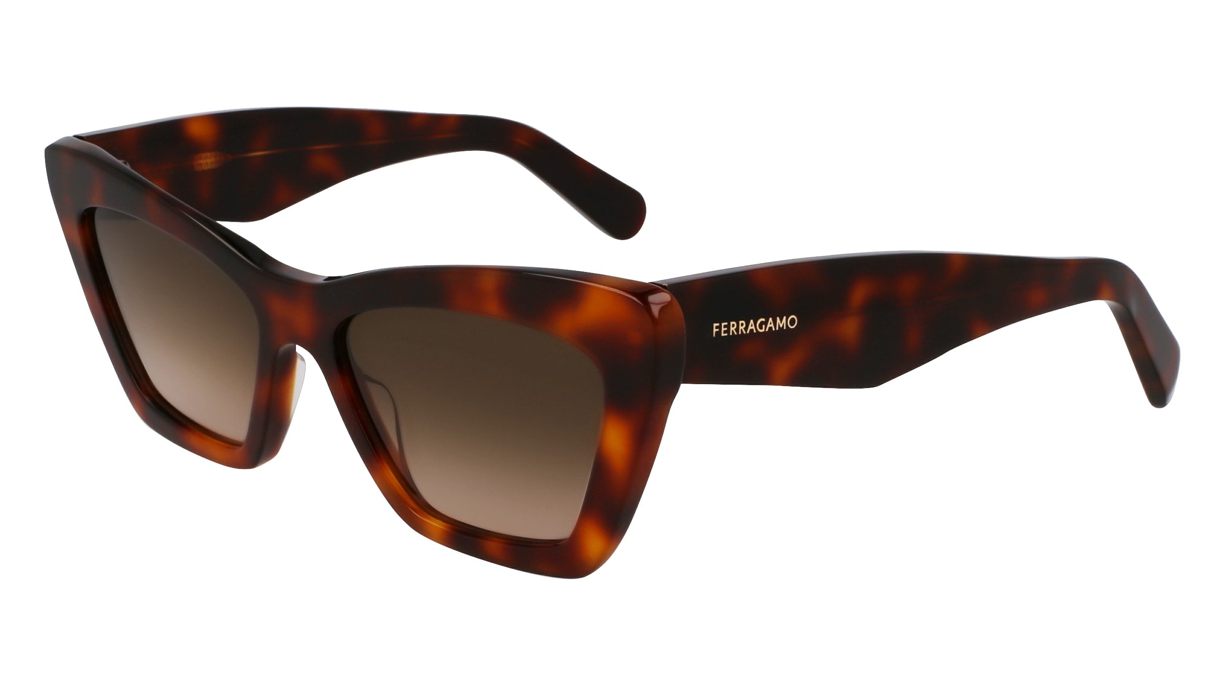FERRAGAMO SF929SN 219 55