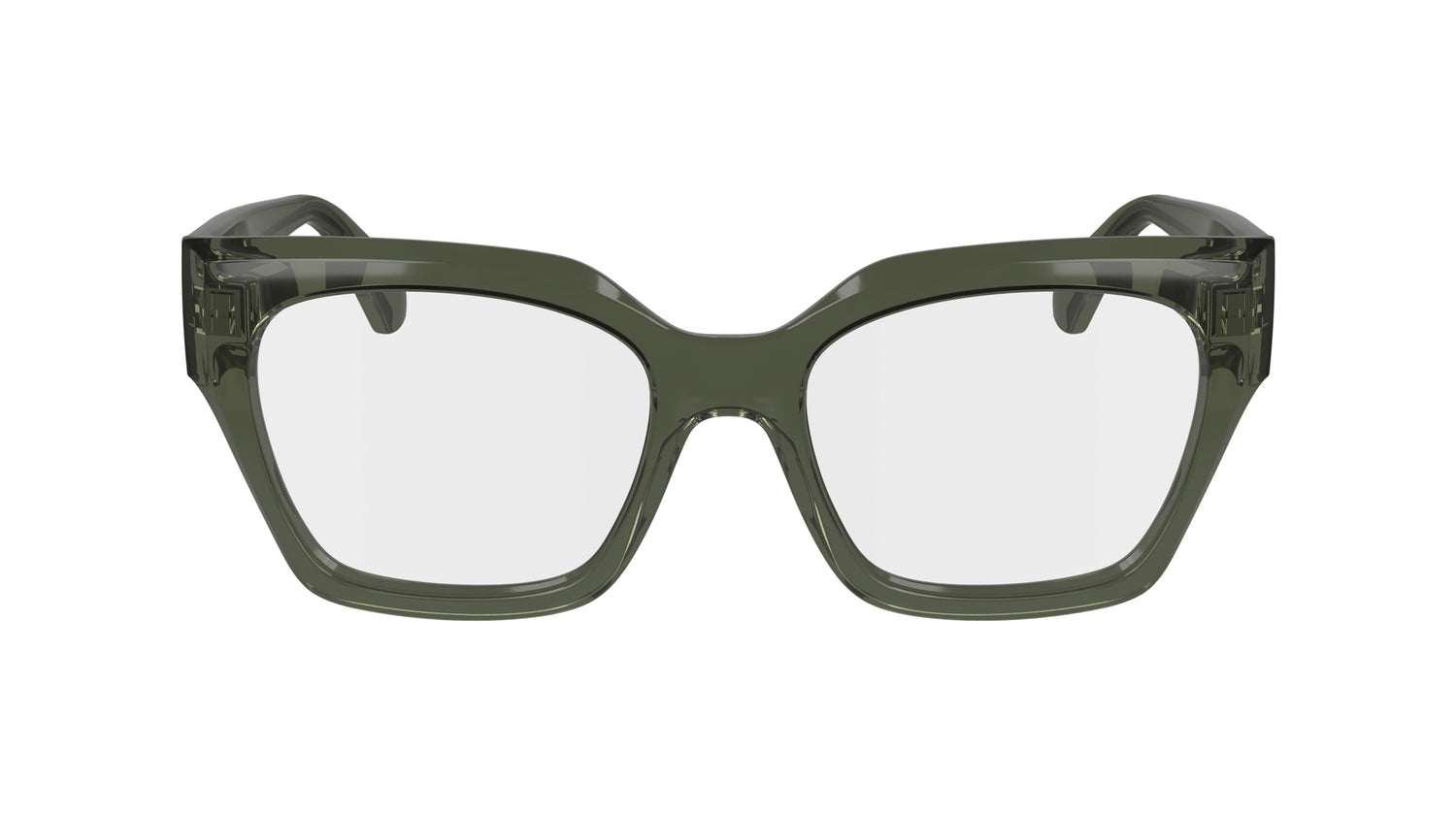 FERRAGAMO SF2983 320 53