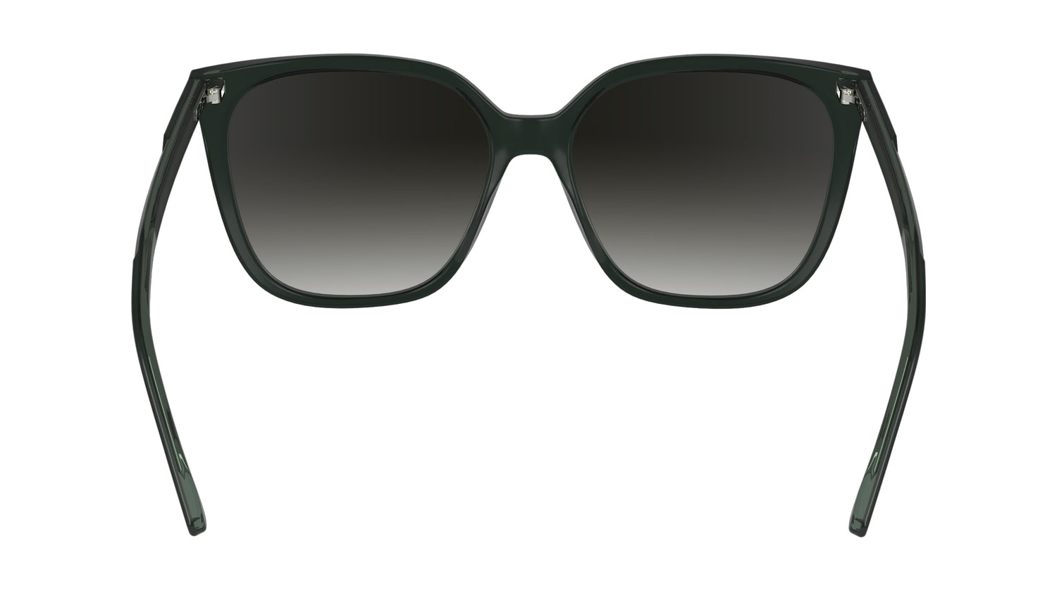 CALVIN KLEIN CK24509S 339 56