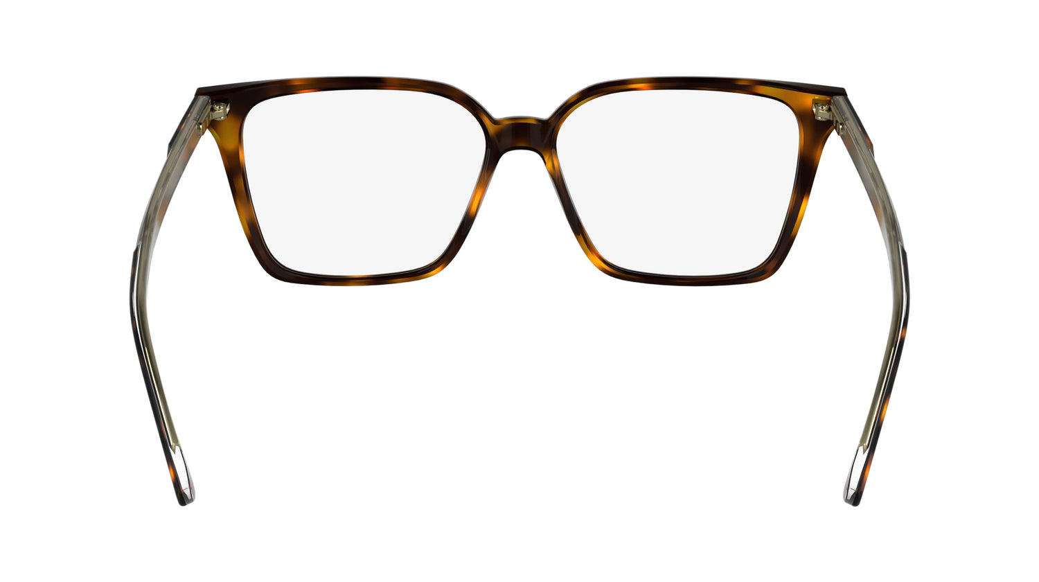 CALVIN KLEIN CK24544 240 55